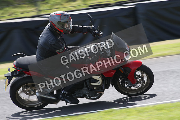 BIKES 1705