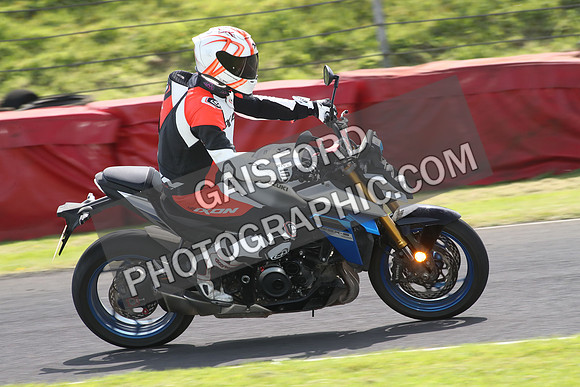BIKES 1631