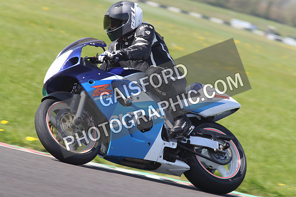 BIKES 1239