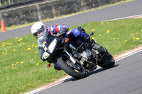 BIKES 0874