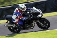BIKES 1685