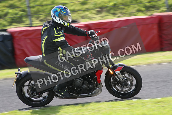 BIKES 1625