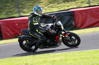 BIKES 1637