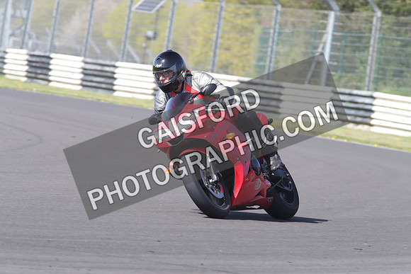 BIKES 1251