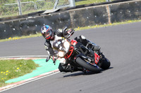 BIKES 0885