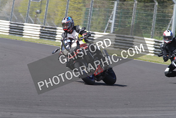 BIKES 1272