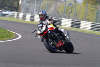 BIKES 1273