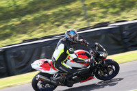 BIKES 1727