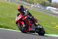 BIKES 1295