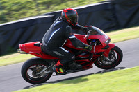 BIKES 1731