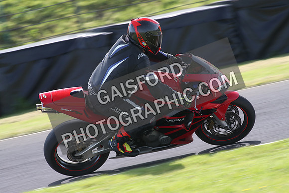 BIKES 1731