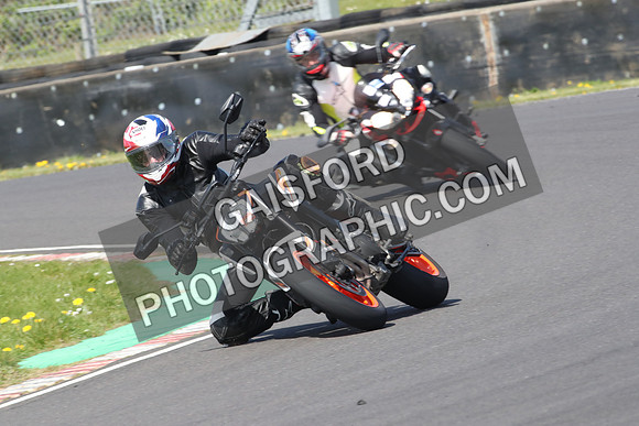 BIKES 0884