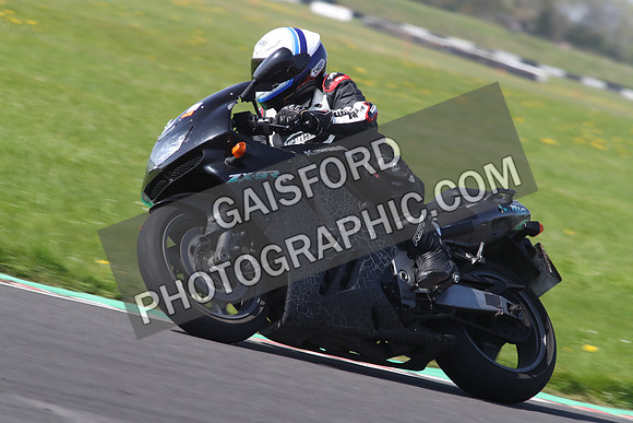 BIKES 1290