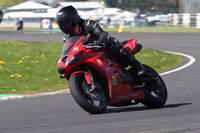 BIKES 1266