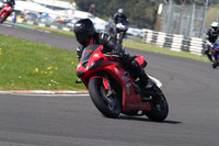 BIKES 1277