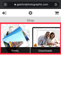 Mobile products option 2
