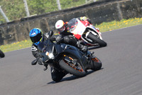 BIKES 0610