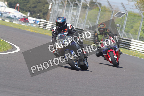 BIKES 1294