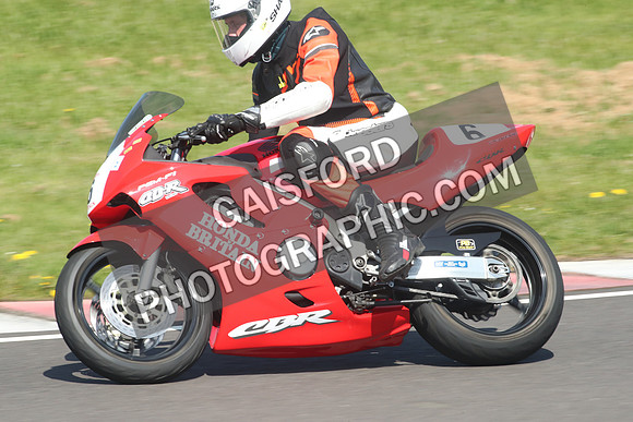 BIKES 1175