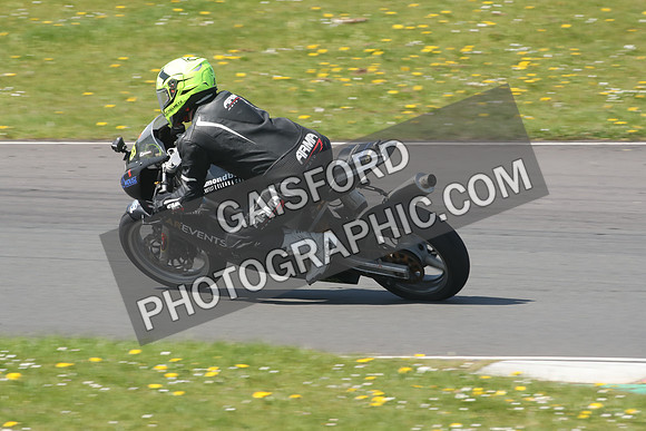 BIKES 1156