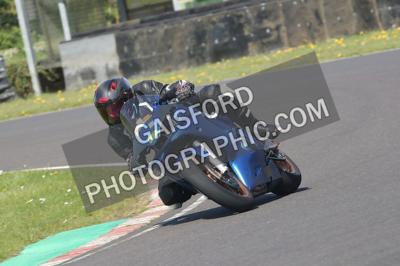 BIKES 0681