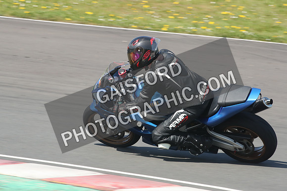 BIKES 1167