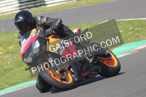 BIKES 0693