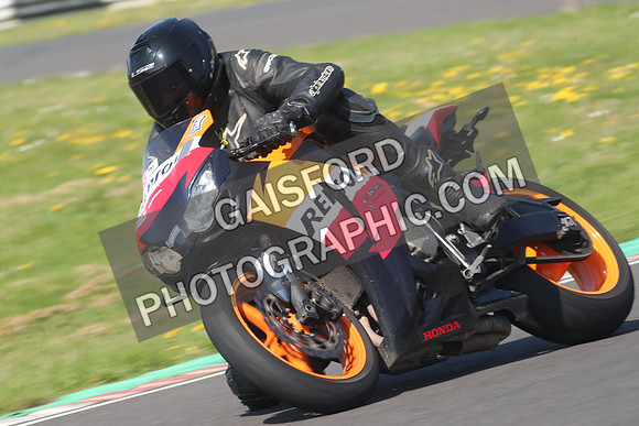 BIKES 0694