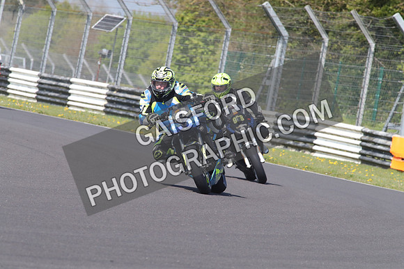 BIKES 1301