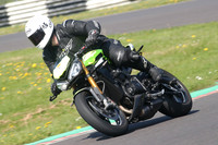 BIKES 0690