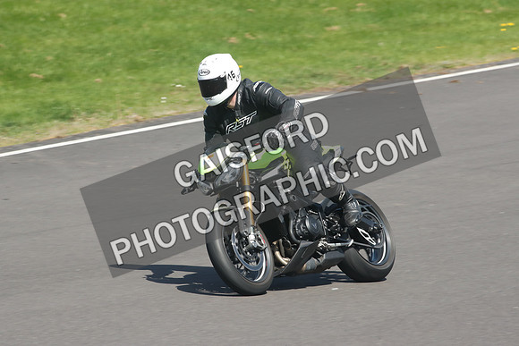 BIKES 1161