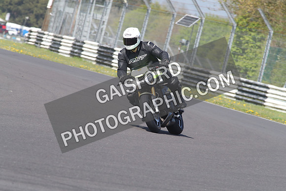 BIKES 1297