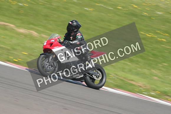 BIKES 1200
