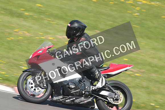 BIKES 1242