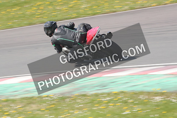 BIKES 1259