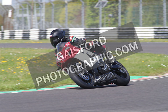 BIKES 1333