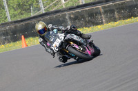 BIKES 0769