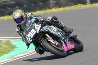 BIKES 0808