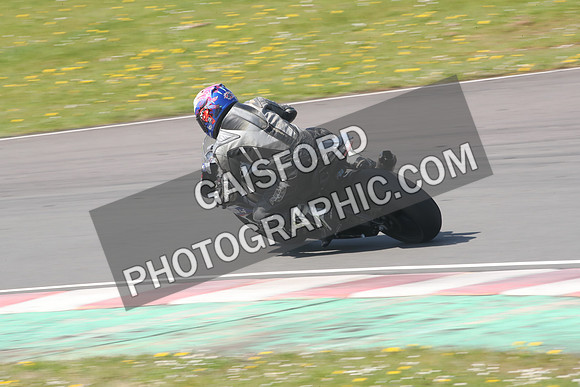 BIKES 1260