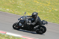 BIKES 1191