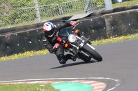 BIKES 0799