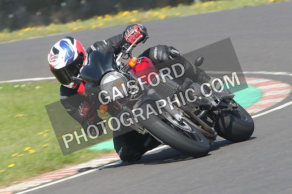 BIKES 0800