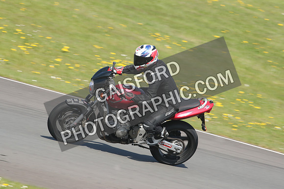 BIKES 1185