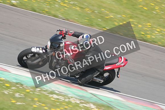 BIKES 1186