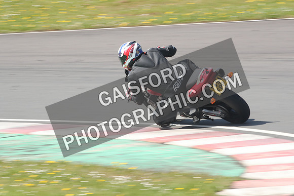 BIKES 1264