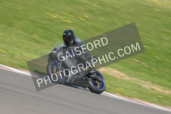 BIKES 1194