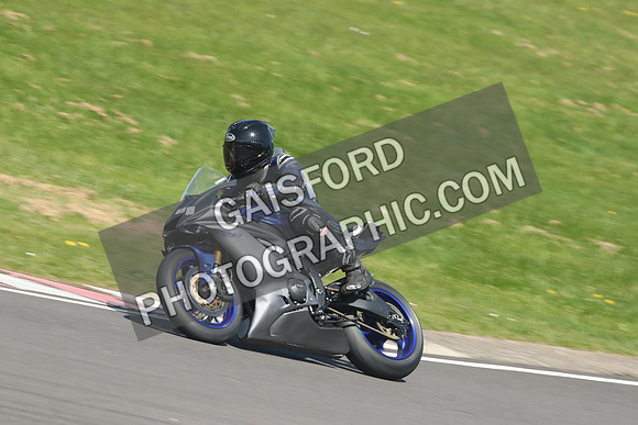 BIKES 1233