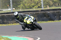 BIKES 0874