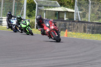 BIKES 1353