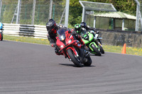 BIKES 1354